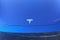 2024 Tesla Model 3 Performance