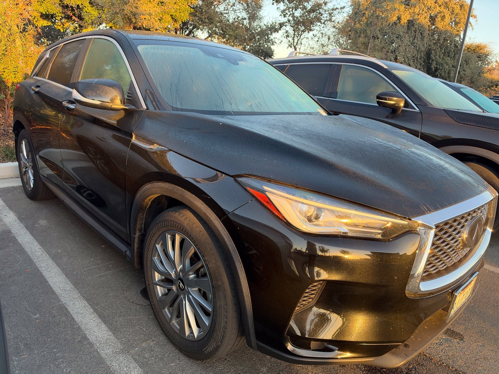 2023 INFINITI QX50