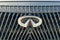 2025 INFINITI QX80 AUTOGRAPH