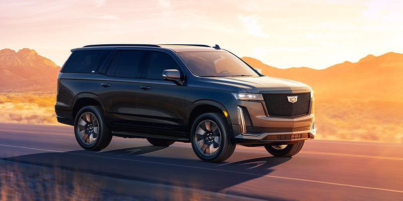 2023 Cadillac Escalade in Dublin, CA